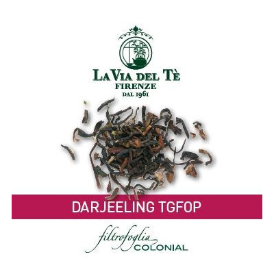 Darjeeling TGFOP 100 stuks - 