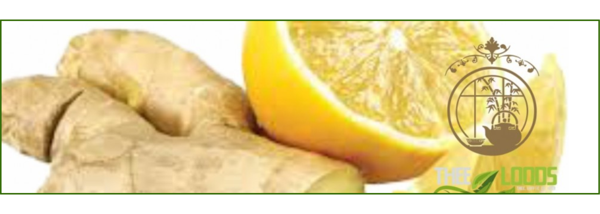 Gemberthee Kopen? | Ruim 150 Soorten Losse Thee!