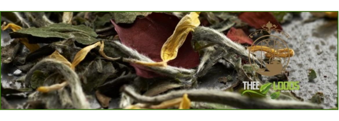 Tisane Thee Kopen? | Heerlijke Losse Thee!