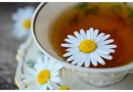 Het genot van pure losse thee