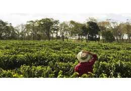 De geschiedenis van jouw kopje Costadoro koffie